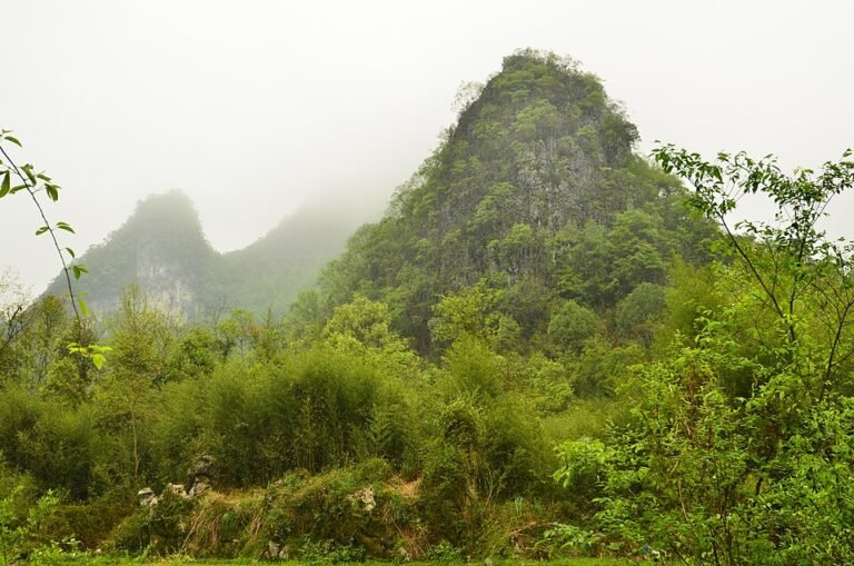 Xiaoqikong Scenic Area, Libo, Guizhou — turquoise karst stream and stone bridges