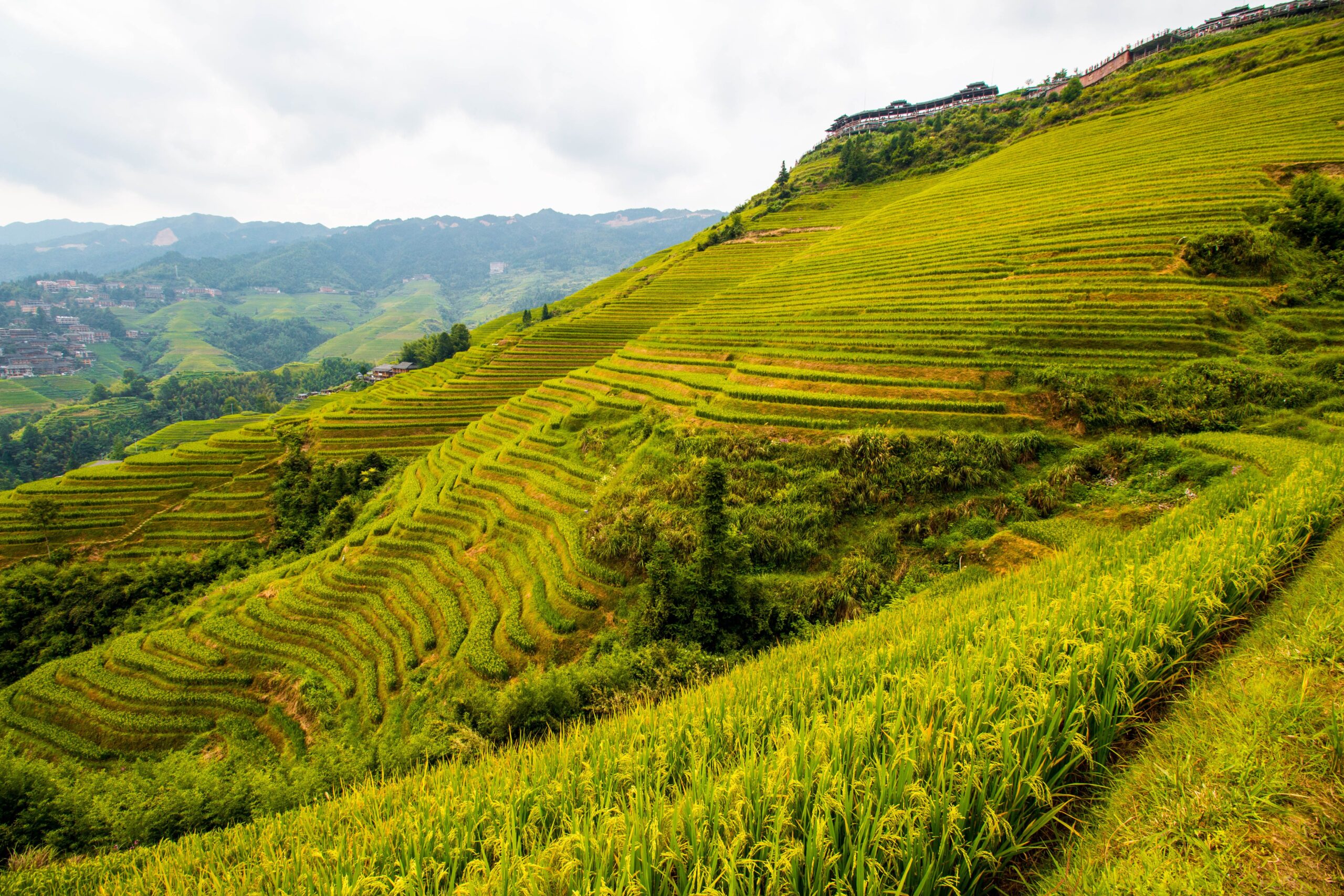 Guangxi: scenery with human context
