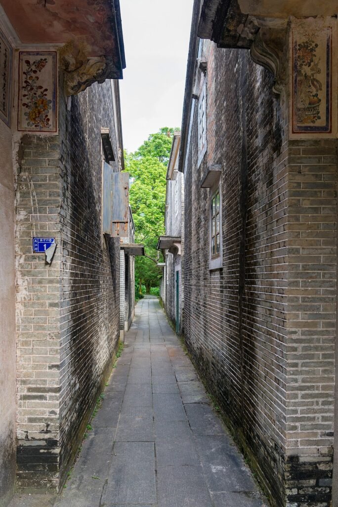 Kaiping village, Jiangmen, Guangdong — fortified diaolou among rice fields