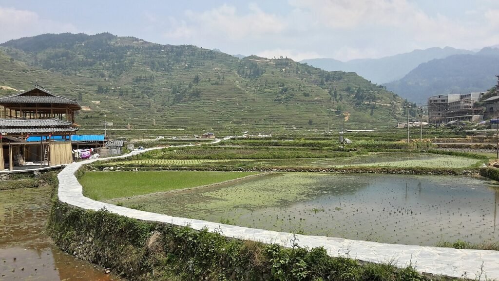 Terraced fields of Xijiang Miao Village, Guizhou — layered rice paddies
